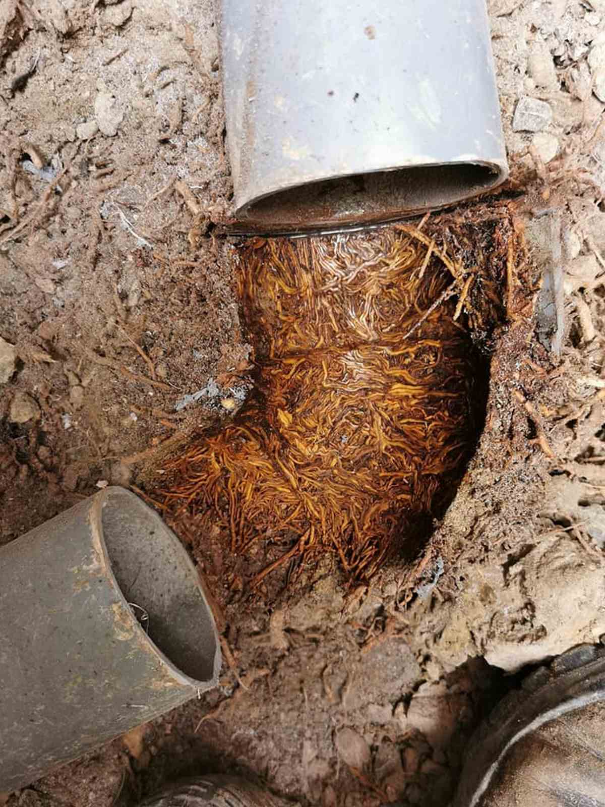 Débouchage Canalisation à Lagardelle-sur-Lèze Détection de fuite à Lagardelle-sur-Lèze Débouchage Canalisation à Venerque Détection de fuite à Venerque Débouchage Canalisation à Vernet Détection de fuite à Vernet Débouchage Canalisation à Roquettes Détection de fuite à Roquettes Débouchage Canalisation à Portet-sur-Garonne Détection de fuite à Portet-sur-Garonne